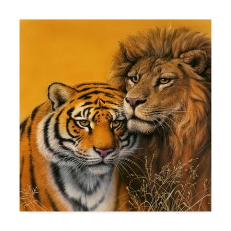 Trademark Fine Art Harro Maass 'Lion & Tiger' Canvas Art, 14x14 ALI35675-C1414GG